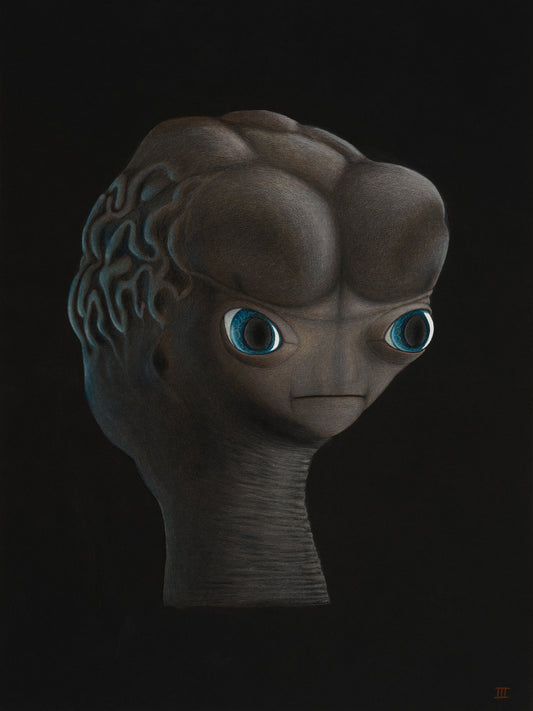 Al -  Grey-Extraterrestrial Biological Entity; Size: 3’; Weight:50-60lbs; Origin: Epsilon Eridani; Function: Communications